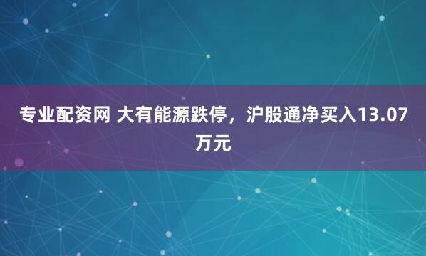 专业配资网 大有能源跌停，沪股通净买入13.07万元