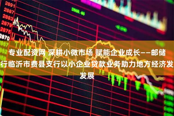专业配资网 深耕小微市场 赋能企业成长——邮储银行临沂市费县支行以小企业贷款业务助力地方经济发展